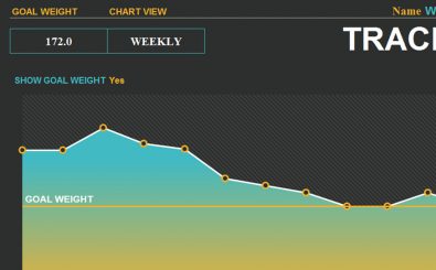 excel template weight loss tracker